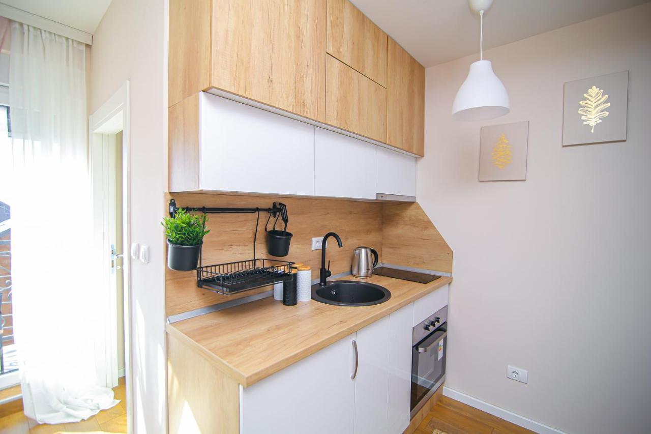 Narcis 17 - Novonamesteni Apartman Sa Prelepim Pogledom Na Tornik Zlatibor Luaran gambar